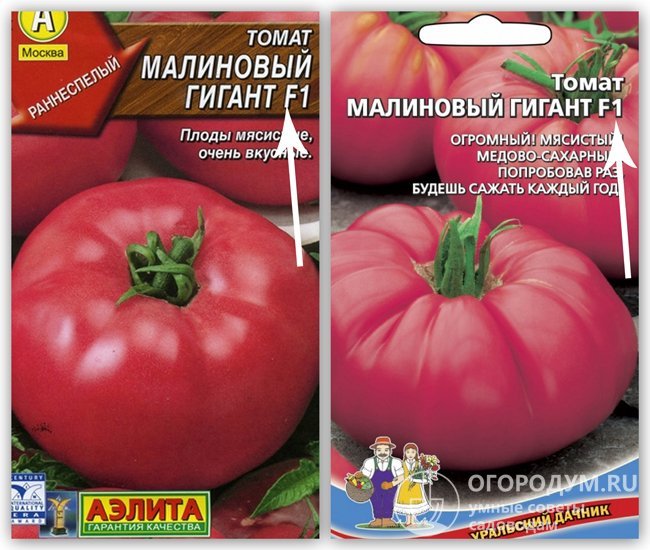 Рапсодия: подробное описание и рекомендации по уходу за томатом