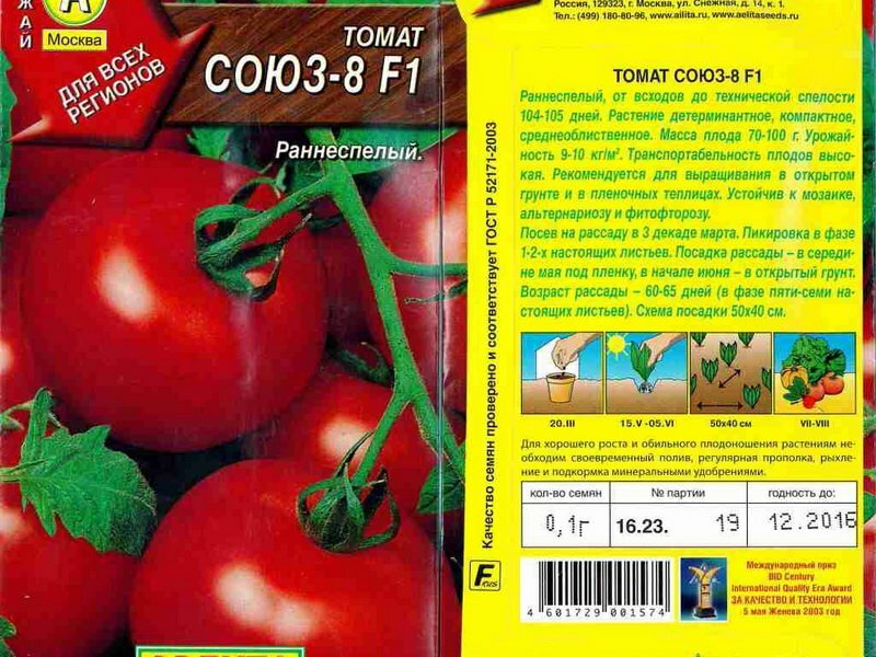 Сорта томатов устойчивые к фитофторе для теплицы и открытого грунта