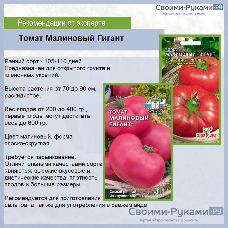 Томат исполин малиновый: описание сорта, достоинства и недостатки, выращивание русский фермер