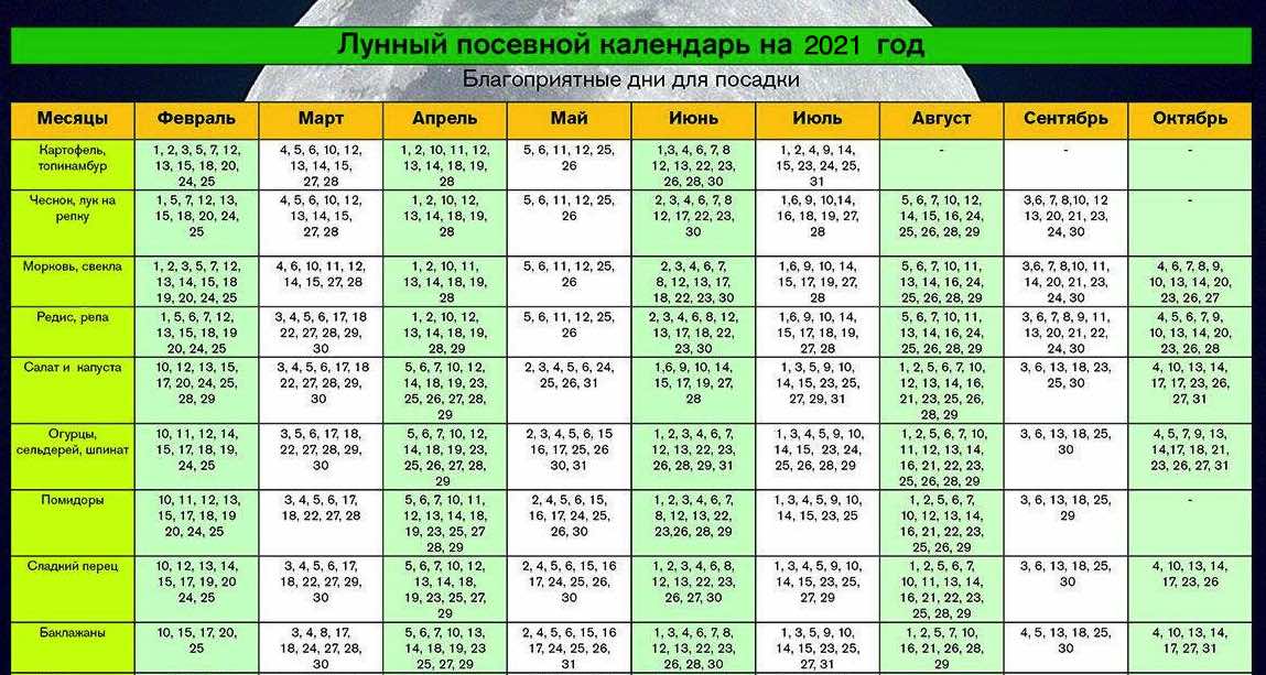 Огурцы: благоприятные посадочные дни по лунному календарю в 2023 году