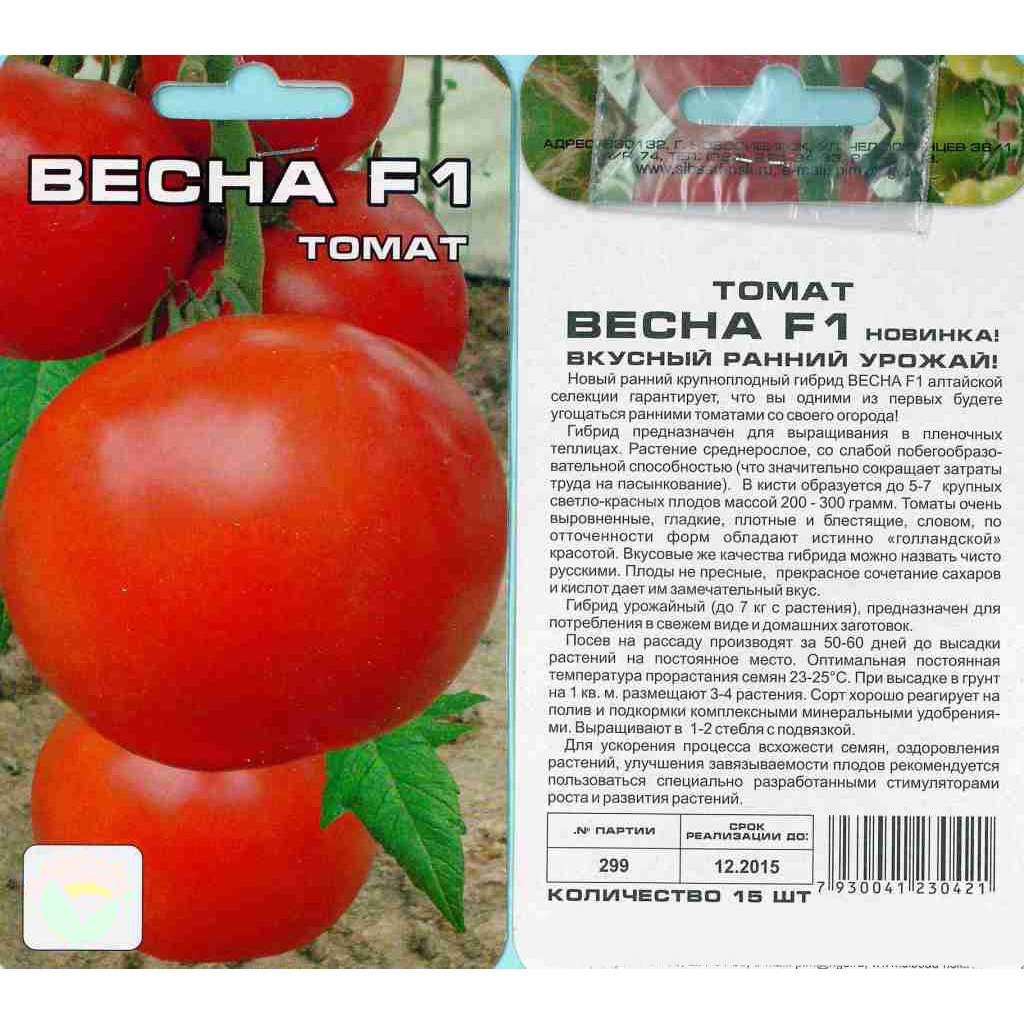 Описание крупноплодного томата безразмерный и советы по выращиванию растения