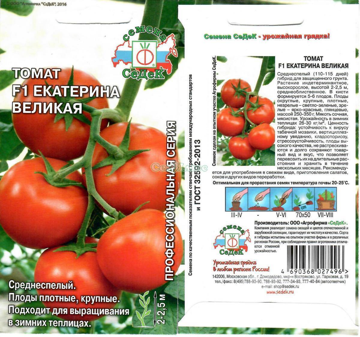 Томат катя f1: описание, характеристика, урожайность сорта, особенности выращивания и посадки помидоров, отзывы, фото