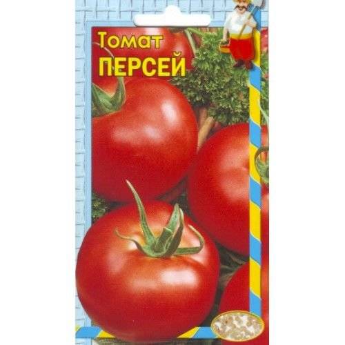 Томат "персей": описание и характеристики сорта, фото и рекомендации по уходу русский фермер