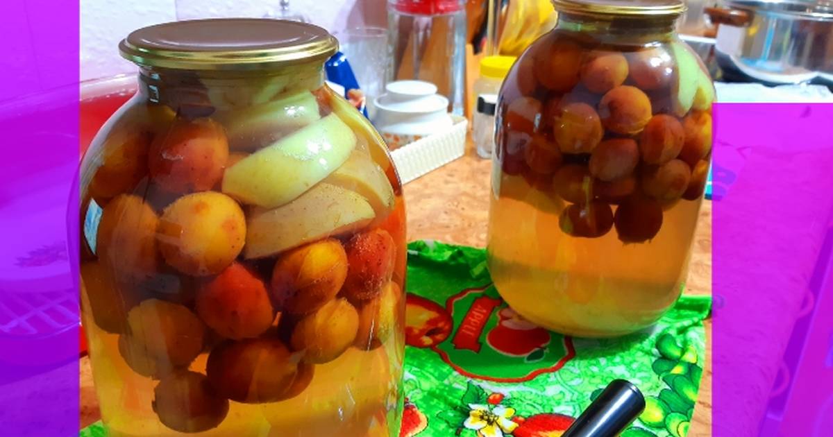 Компот из сливы на зиму — 8 простых рецептов