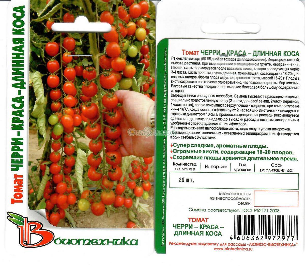 Описание сорта помидоров Рапунцель, их характеристика и урожайность