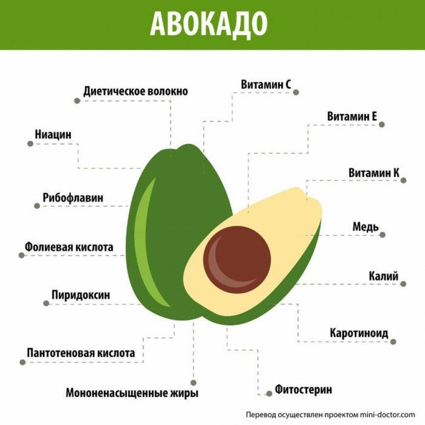 Полезные свойства масла авокадо