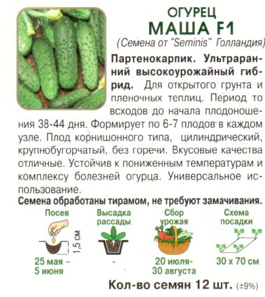 Огурец маша f1: описание сорта, выращивание из семян в теплице + фото и отзывы