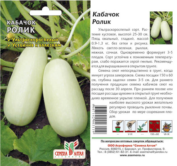 Топ-35 урожайных сортов кабачков с фото и описанием