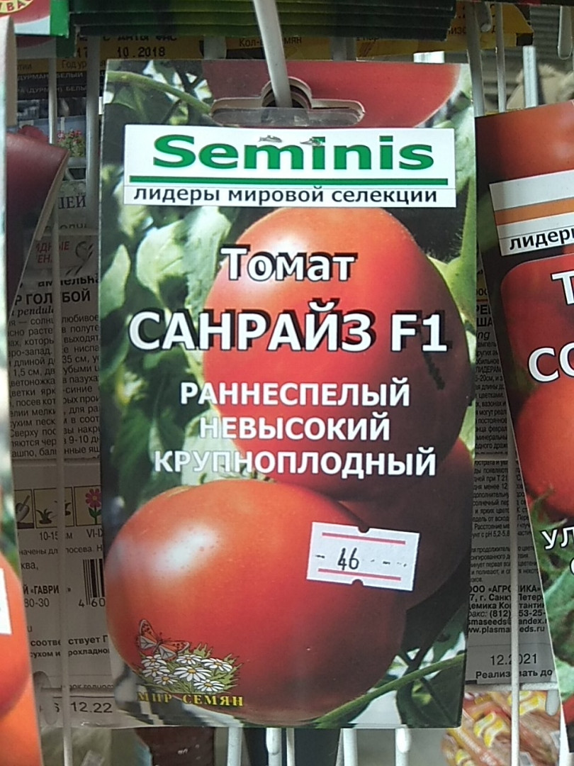 Томат санрайз: характеристика, описание и урожайность сорта, отзывы
