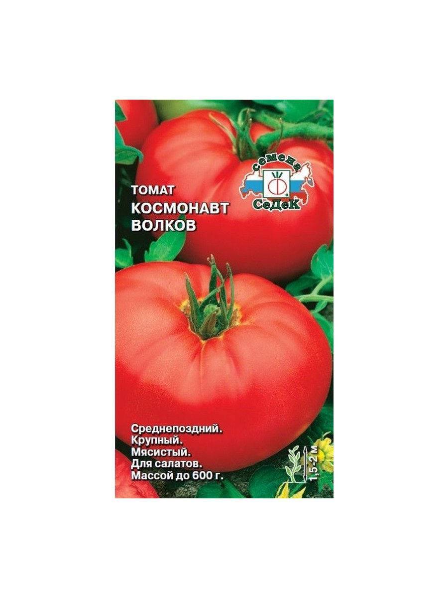 Яркий представитель среднеспелых урожайных сортов — томат «радуница» и советы по его правильному выращиванию