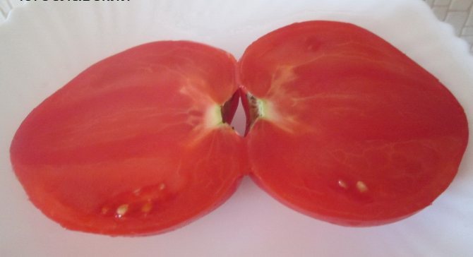 Сердцевидные томаты — особенности сортов и ухода за ними. описание и фото — ботаничка