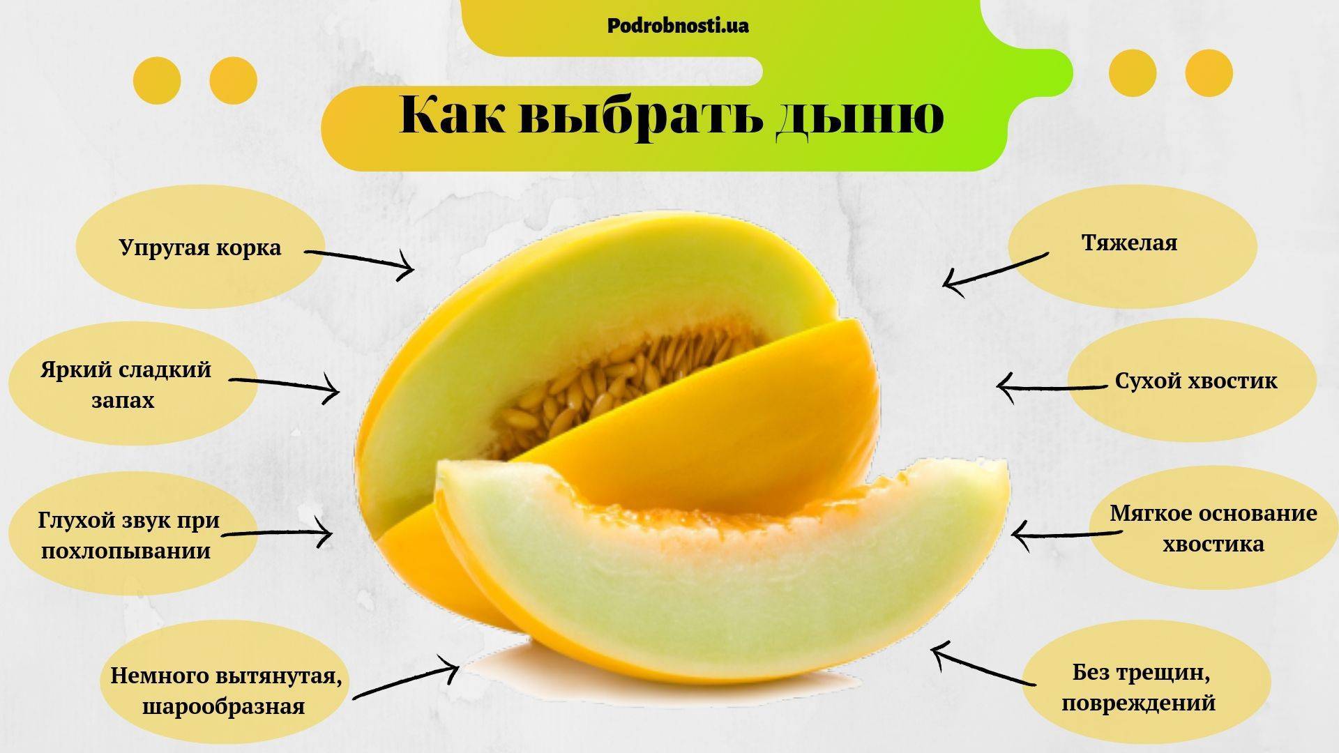 Дыня «торпеда»: характеристика сорта и критерии выбора