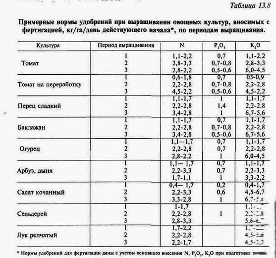 Как часто поливать огурцы в теплице | самоделки на все случаи жизни - notperfect.ru