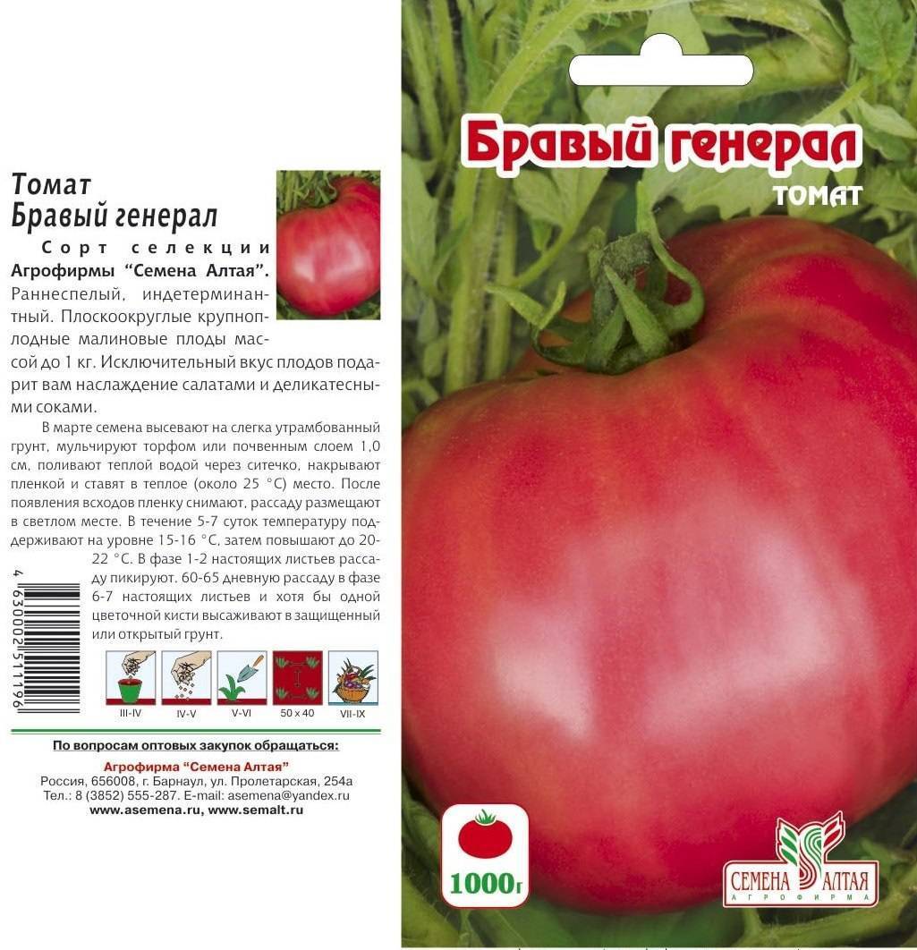 Собираем ранние урожаи сочных плодов с томатом быстренок f1 — описание сорта и его характеристики