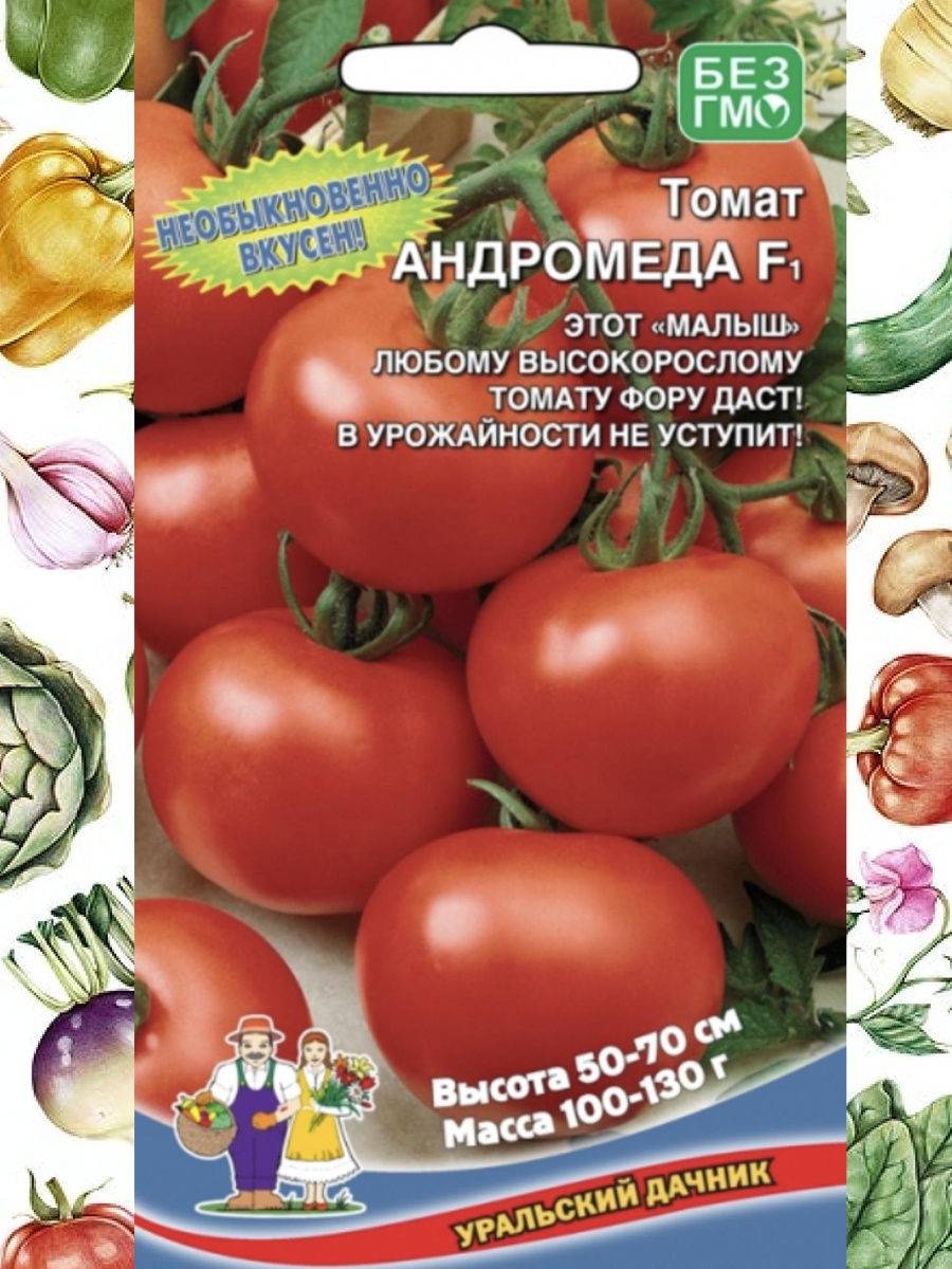 Сорта томатов: индетерминантные, детерминантные, урожайные, сладкие, новые, голландские, розовые, виды и описание