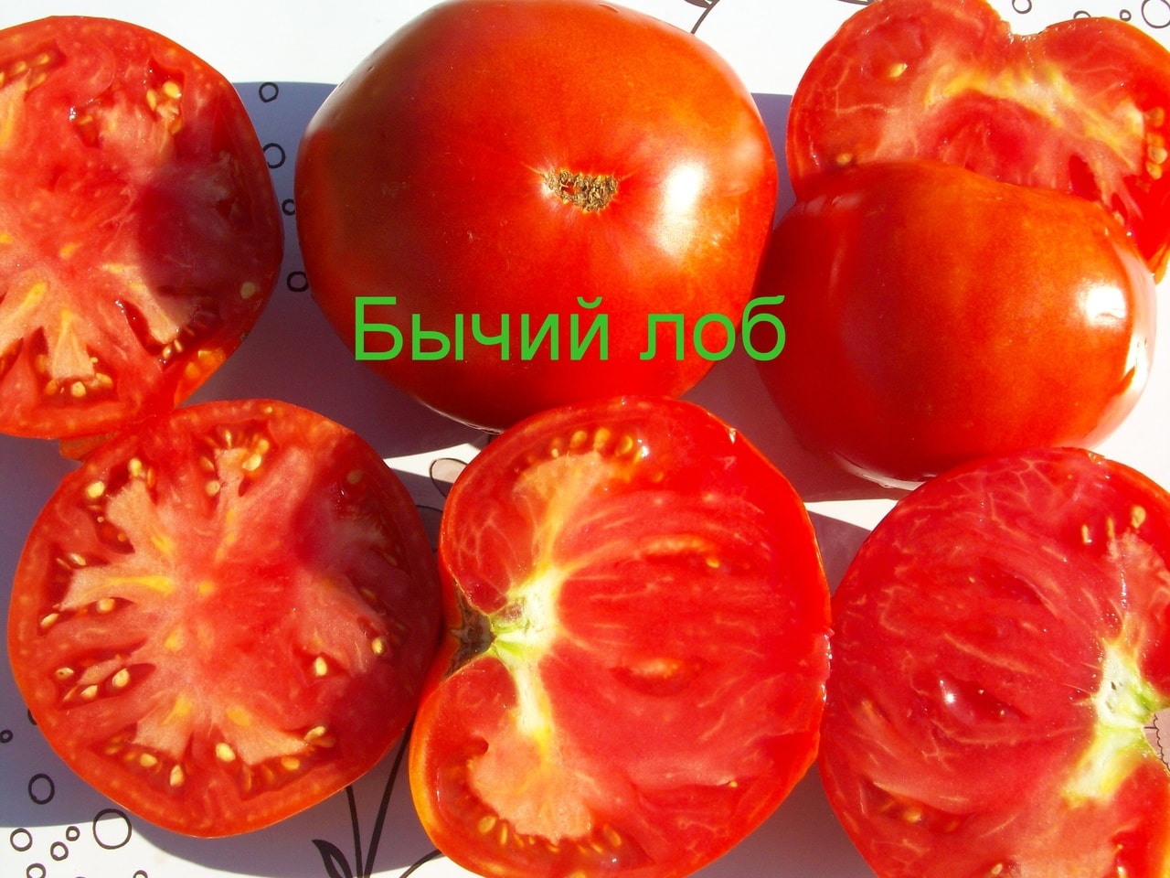 ✅ томат бычий лоб описание сорта фото отзывы - питомник46.рф