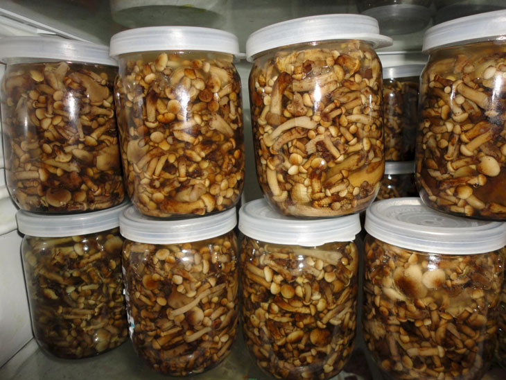 Сколько можно хранить маринованные грибы домашнего приготовления: срок годности в банках под железными крышками