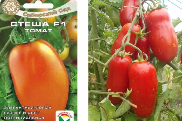 Сорт для любителей овощей — томат марфушечка душечка: описание помидоров и характкристики