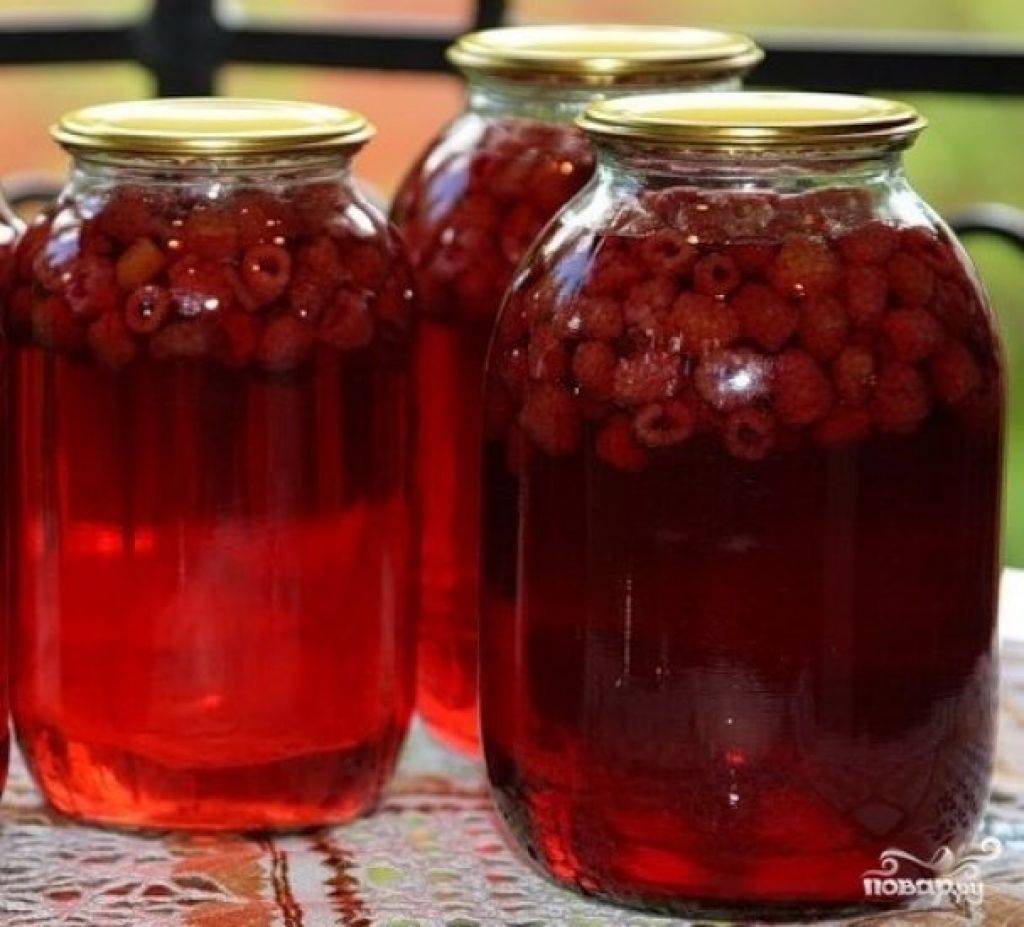 Брусничный компот рецепт на зиму