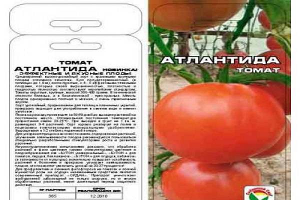 Томат настя сибирячка — описание и характеристика сорта