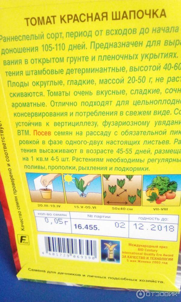 Томат «красная шапочка»