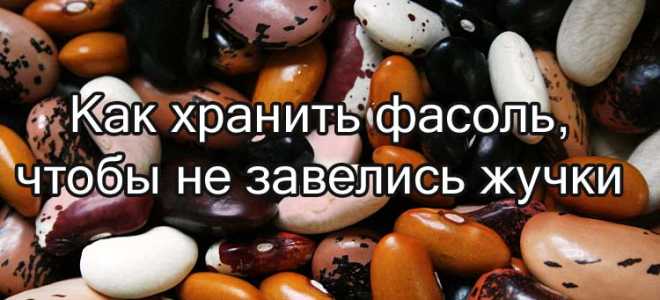 Как правильно хранить фасоль: срок годности фасоли, можно употреблять просроченную фасоль