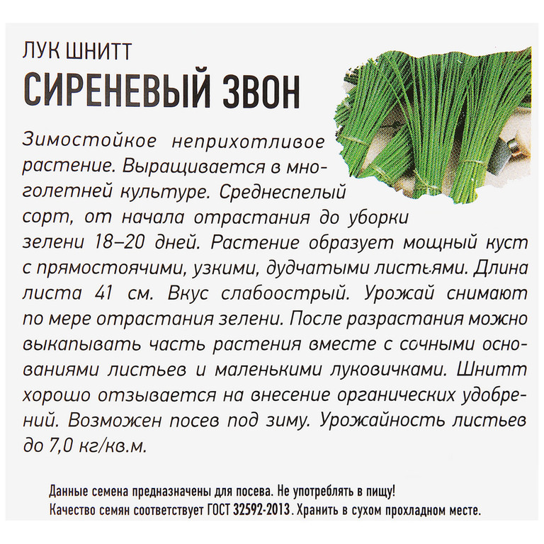 Шнитт-лук: описание, выращивание и сорта растения