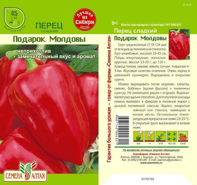 Низкорослые томаты: топ-27 лучших сортов - для теплицы и открытого грунта, непасынкующийся помидоры, урожайные, ранние гибриды