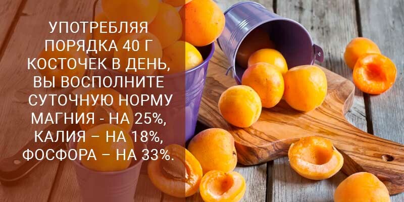 Косточки абрикоса: польза и вред для человека