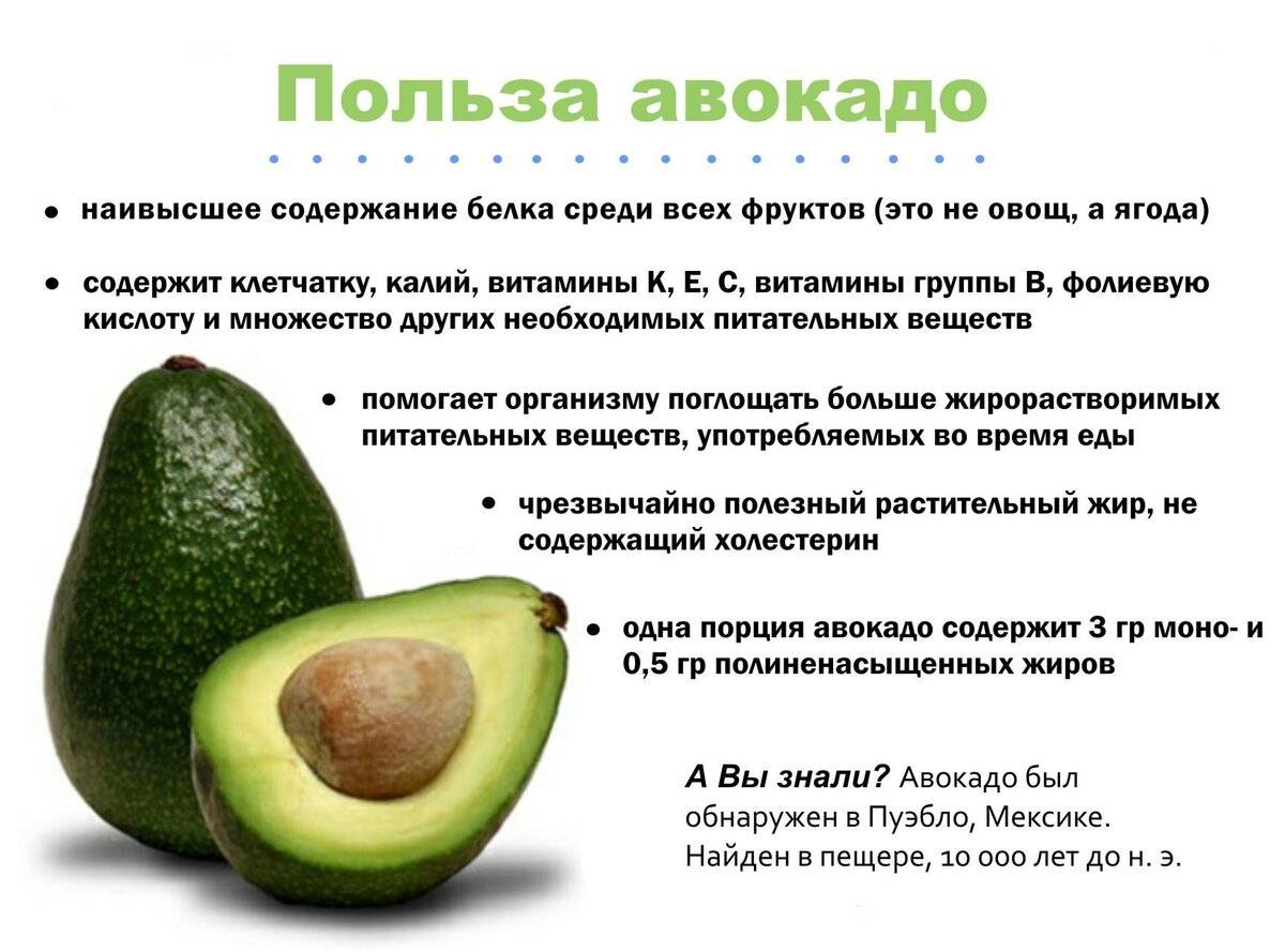Масло авокадо: свойства и применение в косметологии и медицине, отзывы