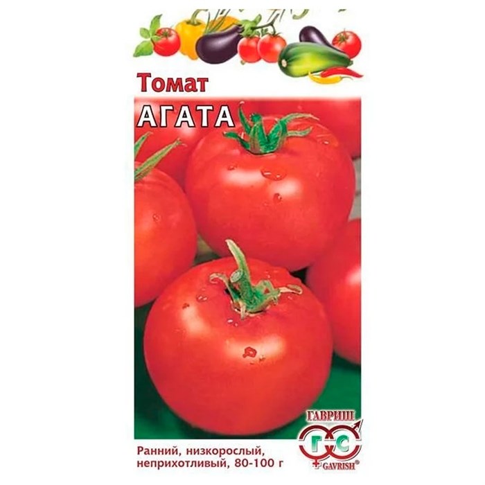 Сорт томата «агата» — описание и характеристика