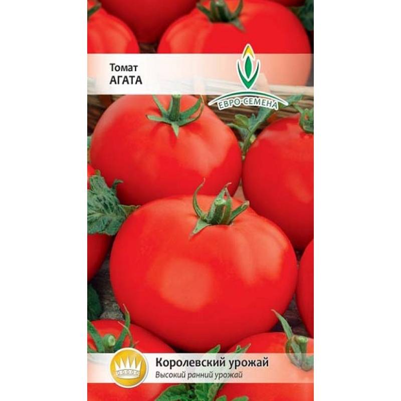 Ранние дружные помидоры «агата»: урожайность и сортовые характеристики