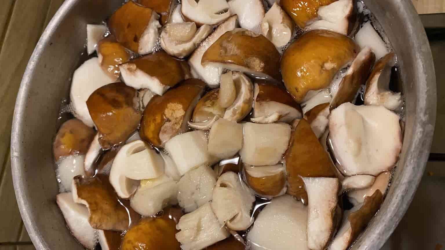 Как заморозить белые грибы правильно - грибы собираем