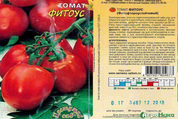 Описание томата Фитоус, выращивание и правила посадки