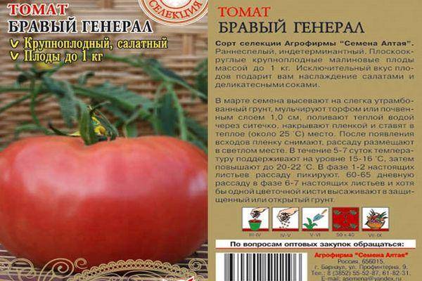 Высокопродуктивный сорт салатного типа — томат фиделио: описание помидоров и характеристики