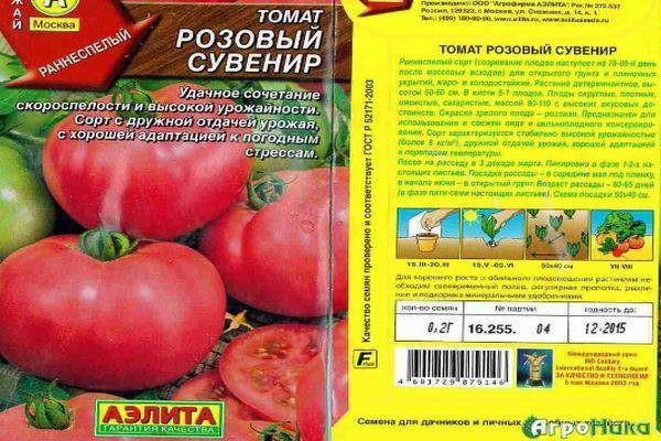 Помидоры бычье сердце — выращивание томатов в теплице