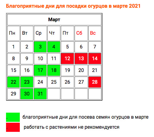 Когда сажать огурцы в открытый грунт в 2023 году по лунному календарю: оптимальные сроки посадки и таблица благоприятных дней