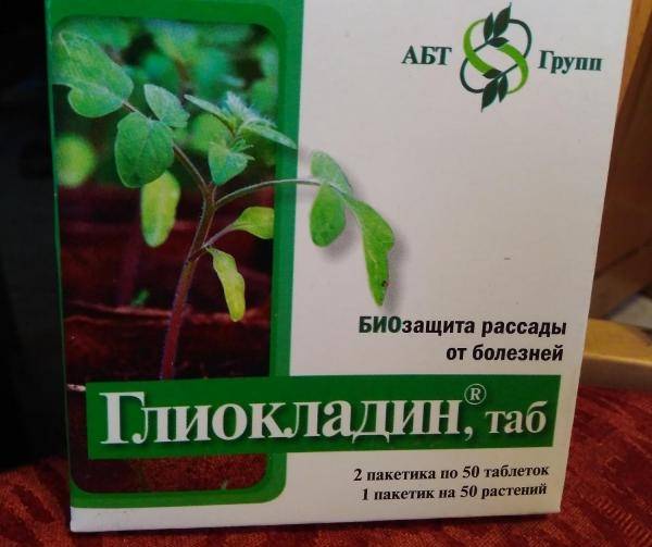 Глиокладин - эффективный биофунгицид для разных растений