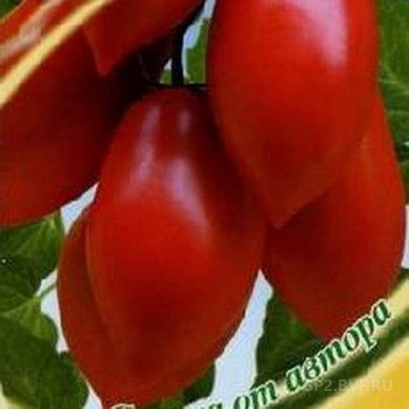 Семена томат сицилийский перчик, 0,1г, гавриш, семена от автора