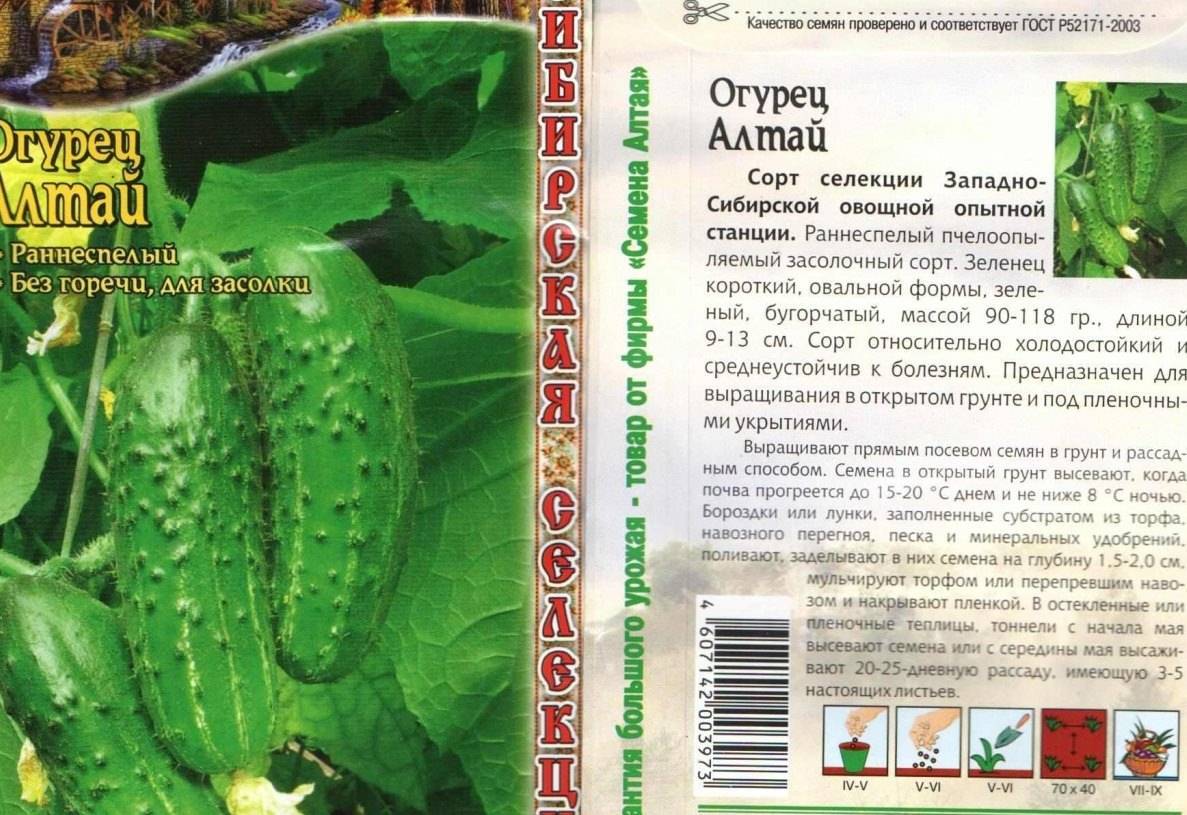 Топ-35 лучших самоопыляемых сортов огурцов для теплицы и открытого грунта: самые урожайные и вкусные