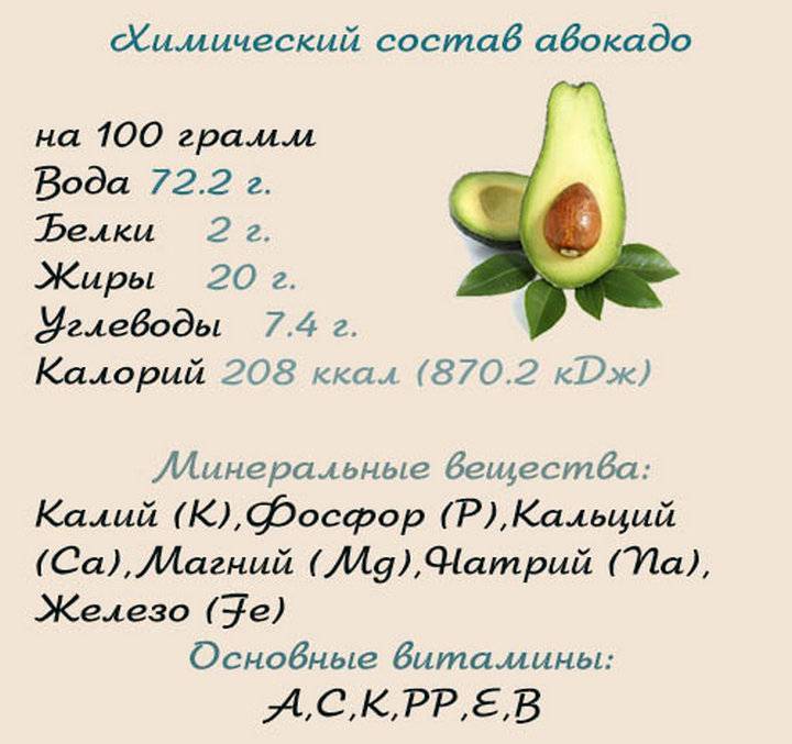 Польза и вред авокадо: как едят правильно