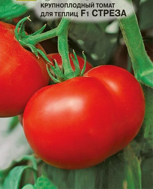 Томат стреза f1: отзывы об урожайности, характеристика и описание сорта, фото помидоров