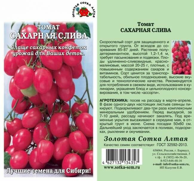Отличный столовый новый сорт томата «сливка бендрика», описание, рекомендации по уходу