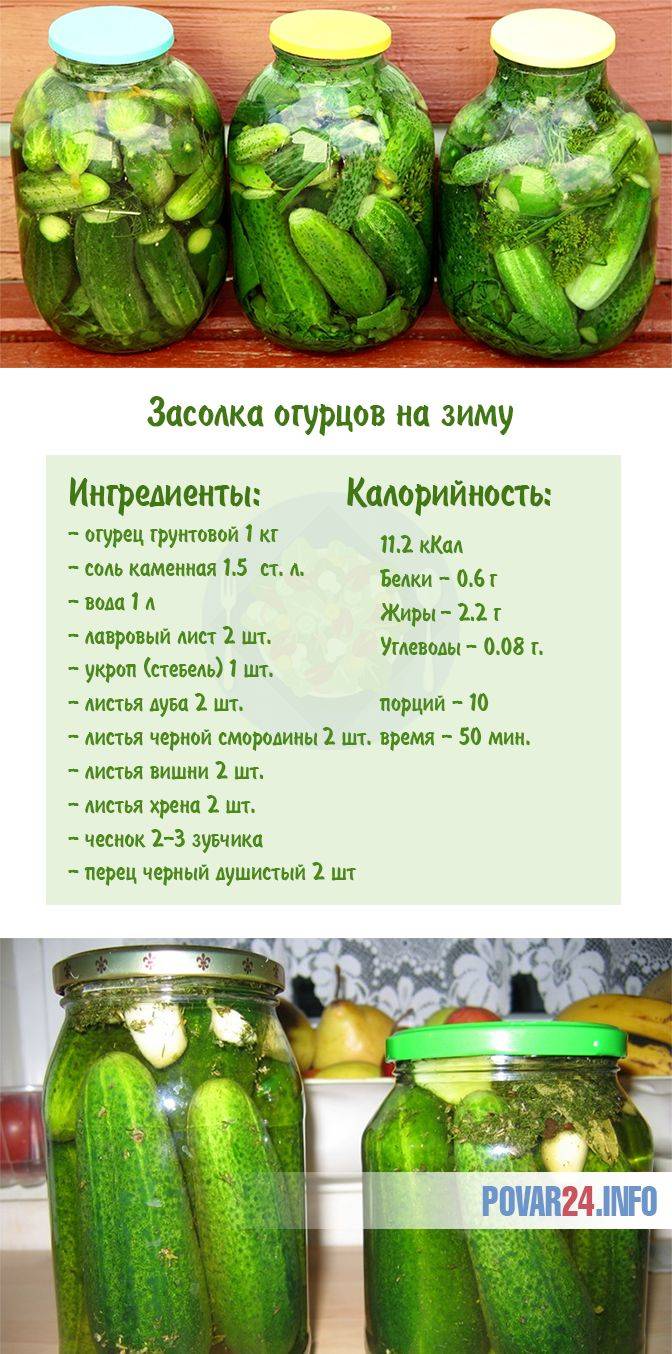 Сорта огурцов для засолки и консервирования: самоопыляемые для открытого грунта