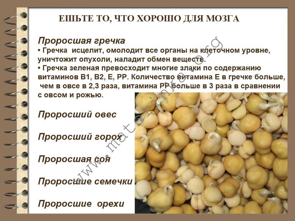 Чечевица - польза и вред. как приготовить вкусные блюда из чечевицы по пошаговым рецептам с фото