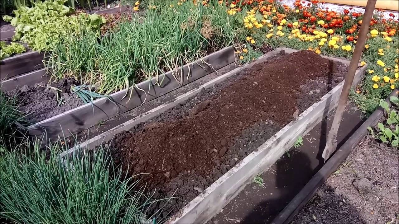 Как подготовить грядку под озимый чеснок для посадки осенью, сидераты и удобрение