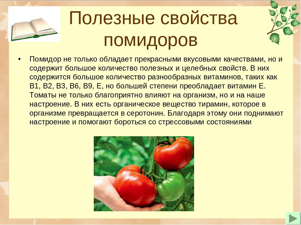 Польза и вред помидоров — 10 фактов о влиянии на организм человека, состав и противопоказания
