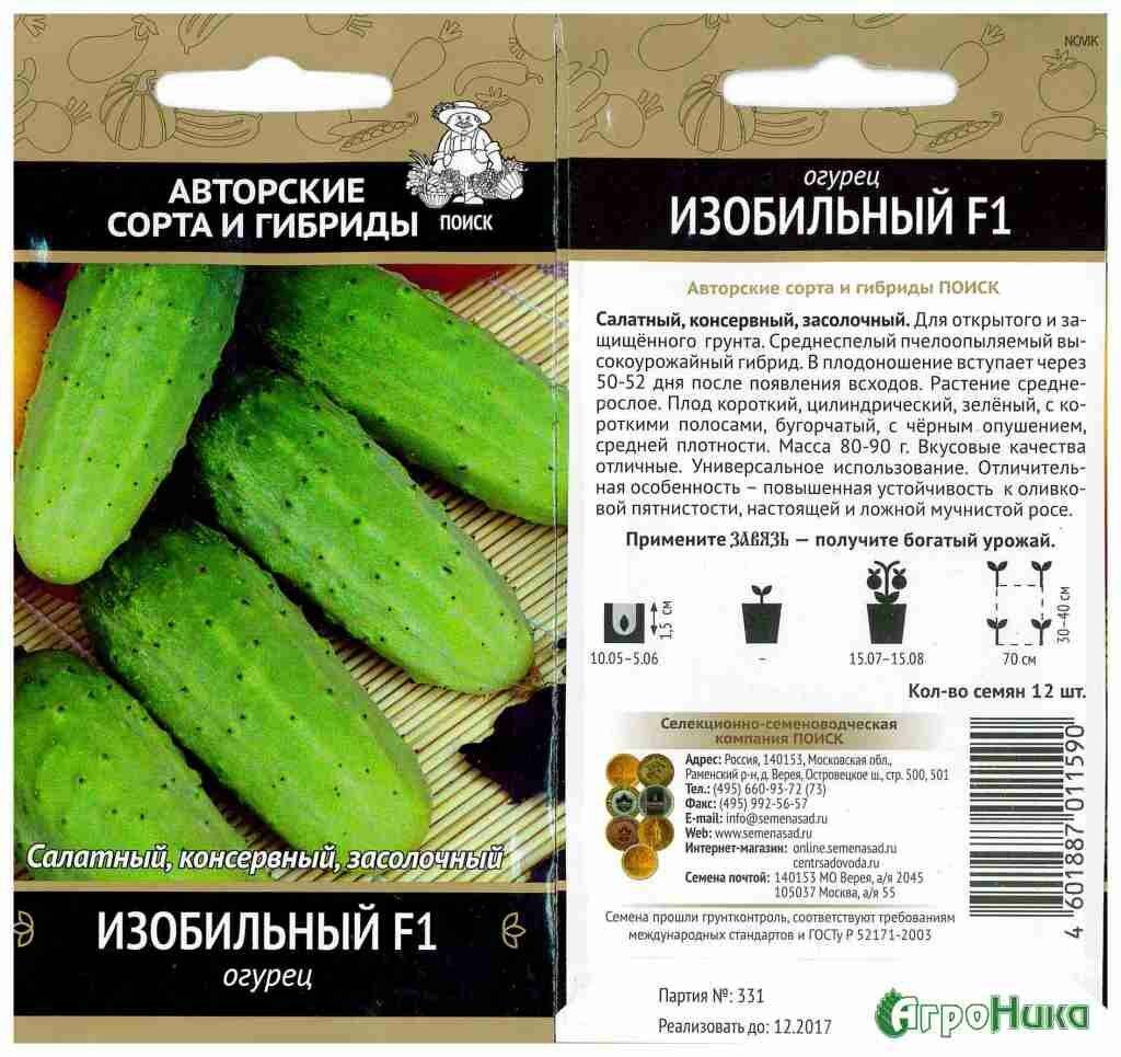 Лучшие сорта огурцов для открытого грунта