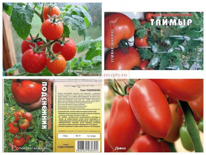 Описание лучших сортов помидоров без пасынкования для теплиц
