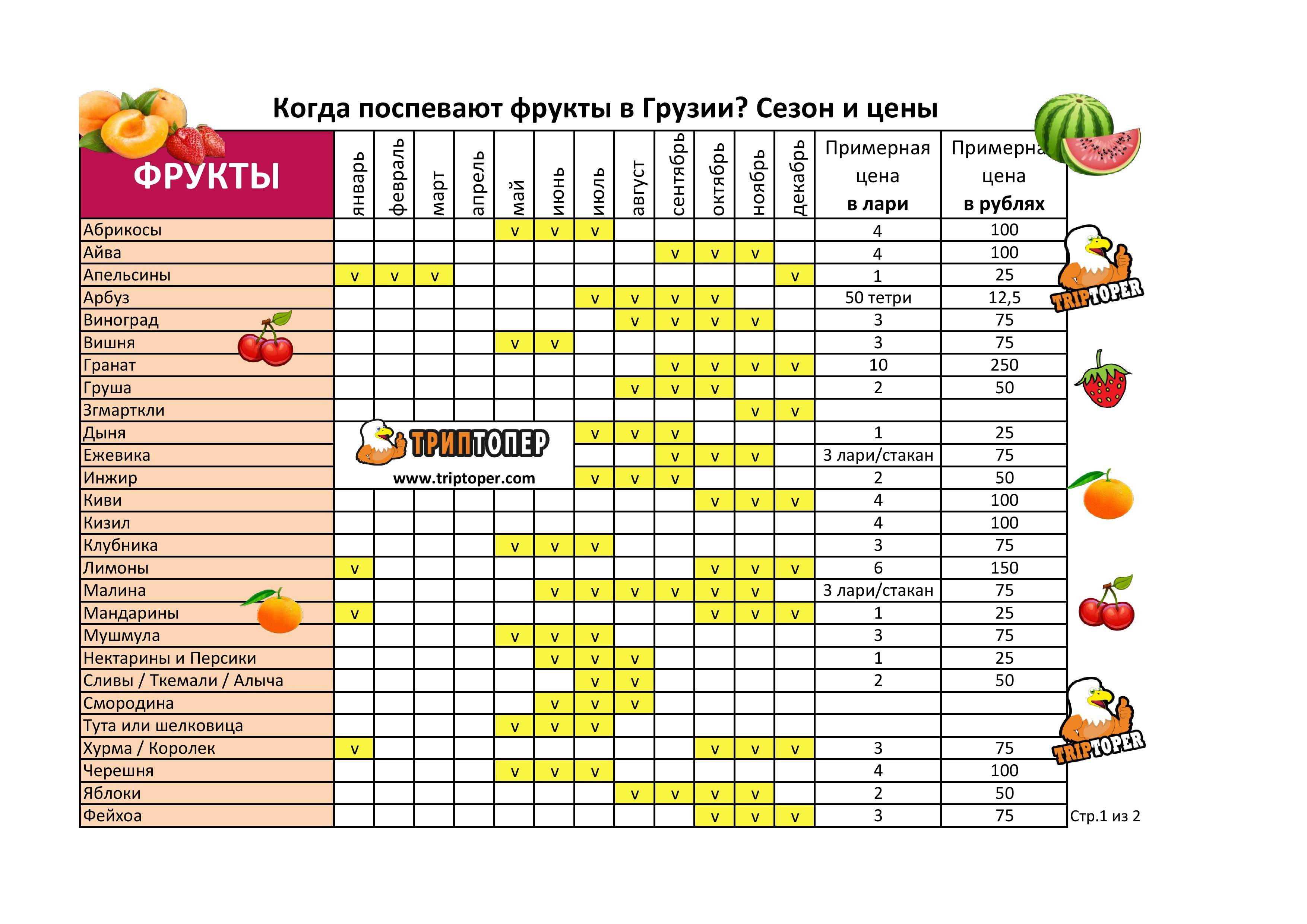 ✅ когда созревает спеет вишня в россии средней полосе месяц - cvetochki-rostov-na-donu.ru